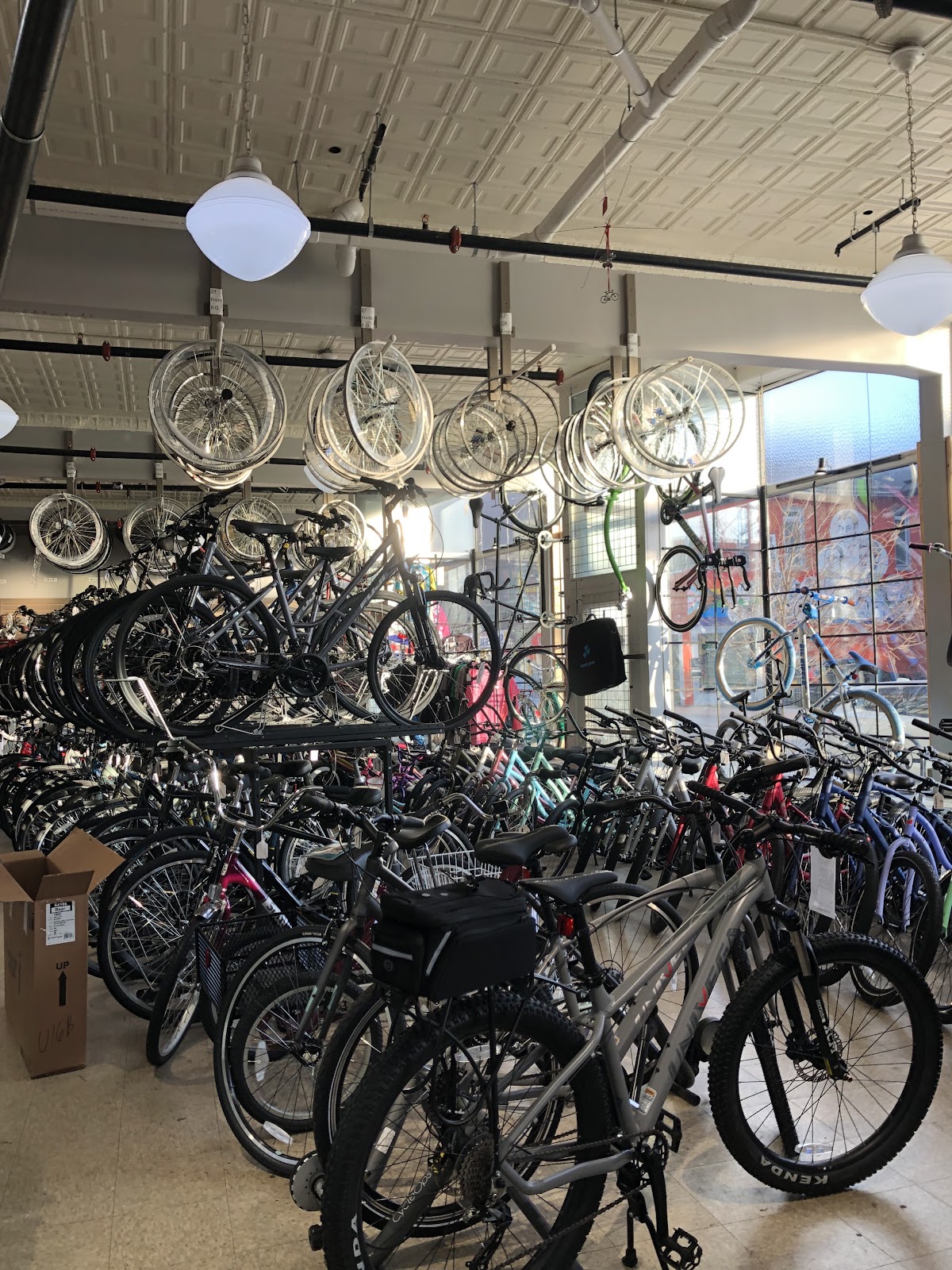 Rick Cycle Shop - eBike shop in Buffalo, NY