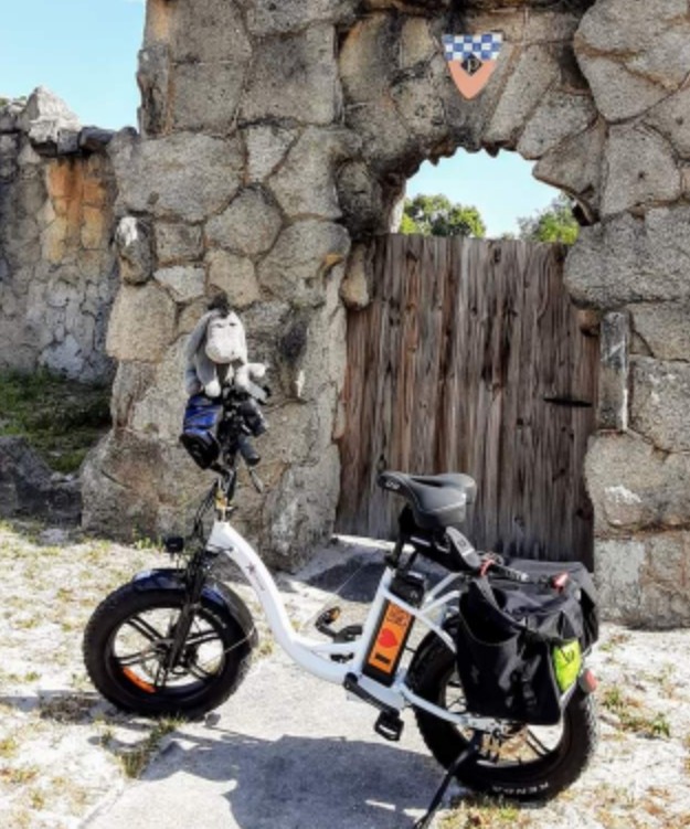 Ride Scoozy - eBike shop in St. Petersburg, FL