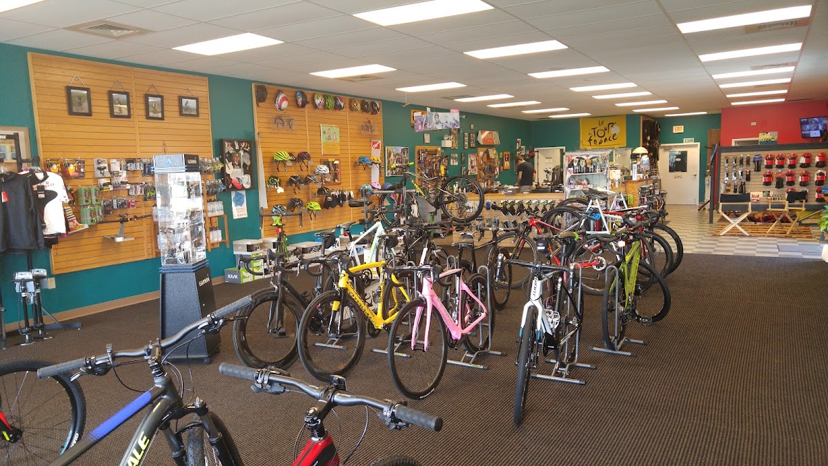 Robin's Bikes & Fitness - eBike shop in Miramar Beach, FL