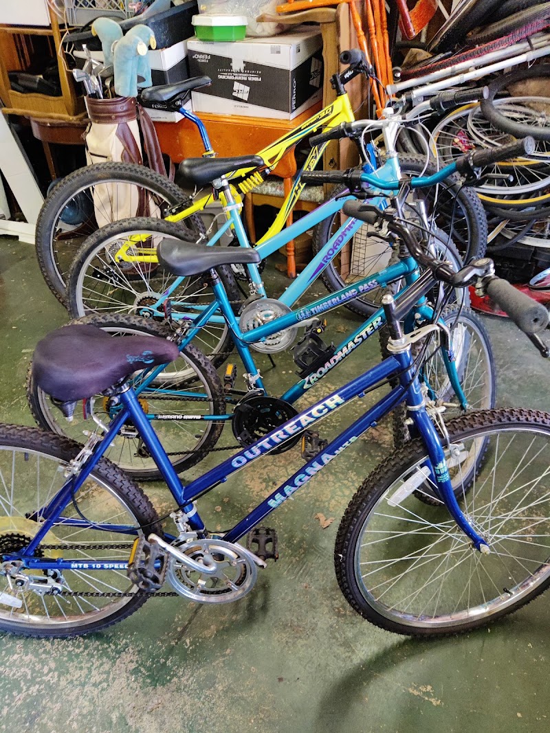 Roy-L Cyclery - eBike shop in Hammond, IN
