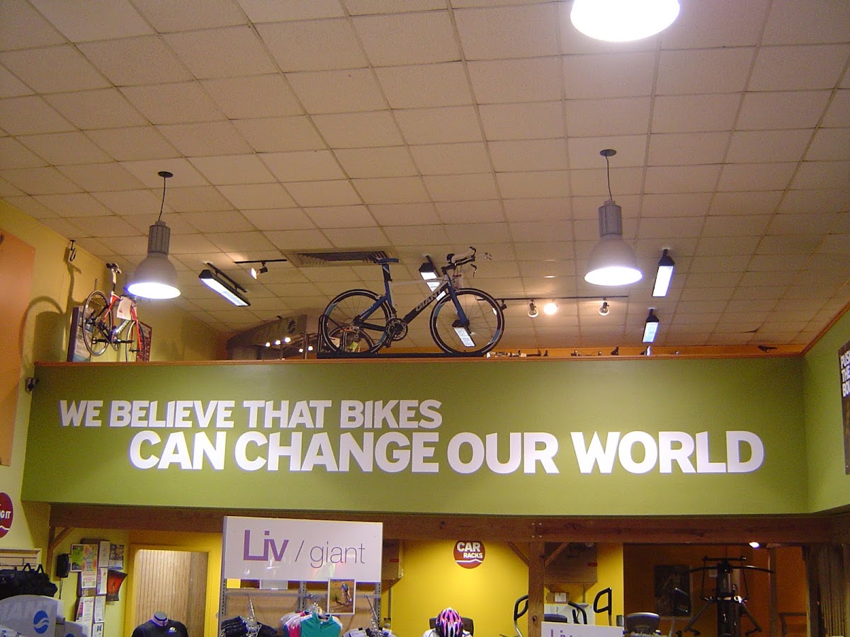 Russell's Cycling & Fitness - eBike shop in Washington, IL