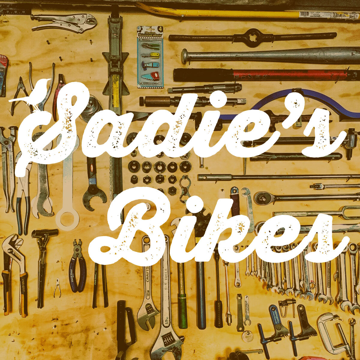 Sadie's Bikes - eBike shop in Turners Falls, MA