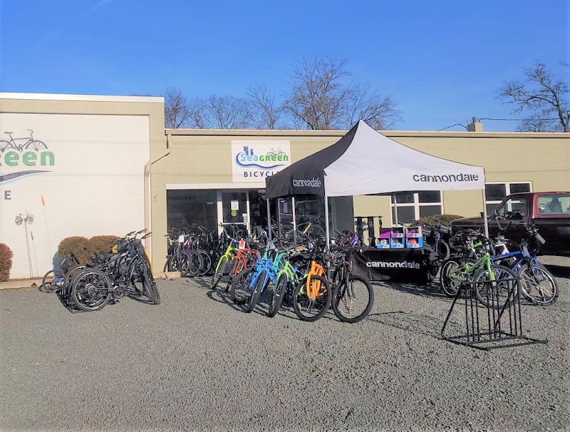 Seagreen Bicycle - eBike shop in Lewes, DE