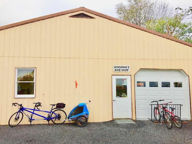 Sensenig’s Bike and Disc Golf Shop - eBike shop in Shippensburg, PA