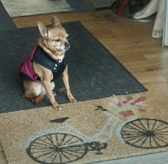 Stans Bike Shop - eBike shop in Azusa, CA