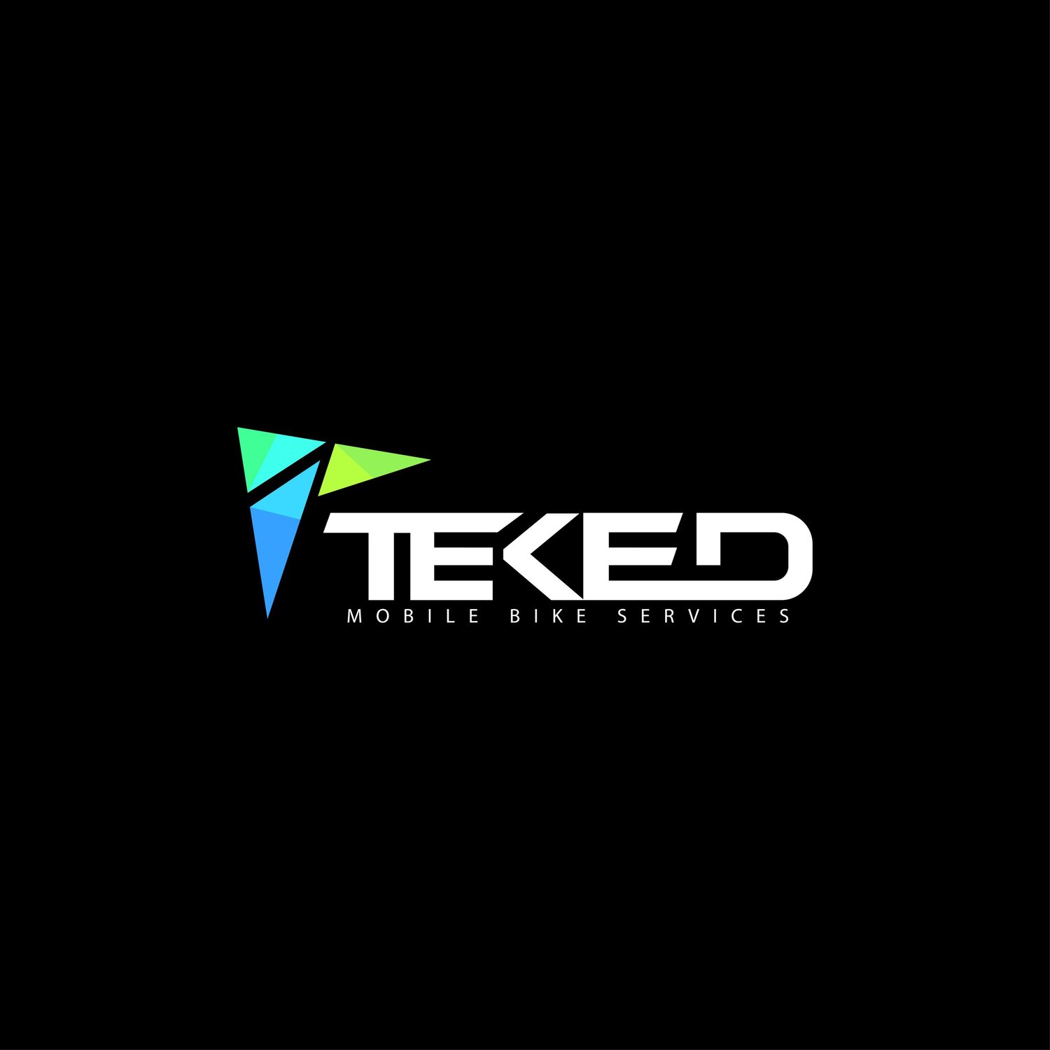 Teked Mobile Bike Services LLC - eBike shop in Apollo Beach, FL