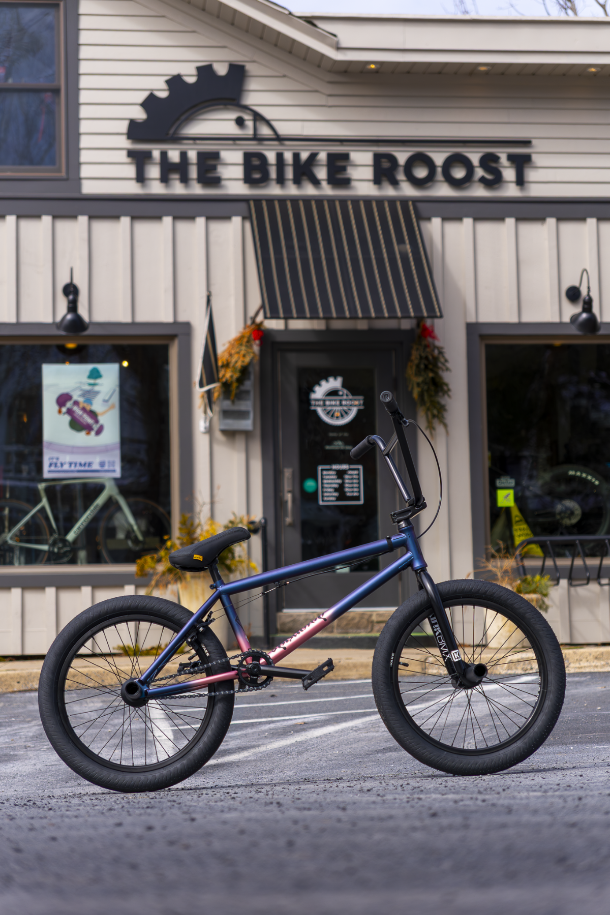 The Bike Roost & Mountain Ski Shop - eBike shop in Boalsburg, PA