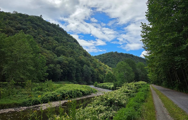 Tioga Wilds - eBike shop in Wellsboro, PA