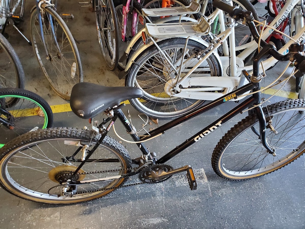 Town N Country Bikes - eBike shop in Livonia, MI