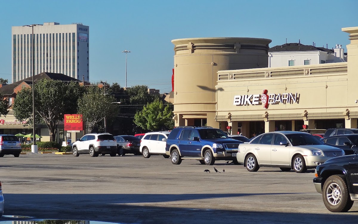 Trek Bicycle Houston West University - eBike shop in Houston, TX