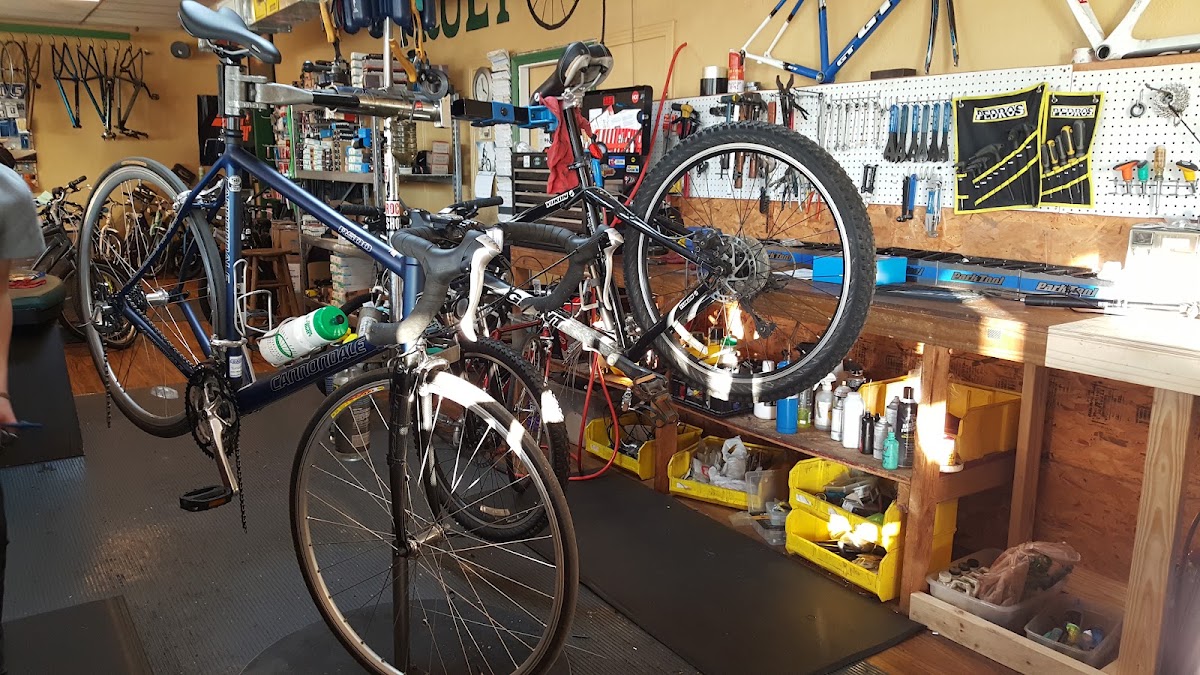 Truly Spokin - eBike shop in Milton, FL