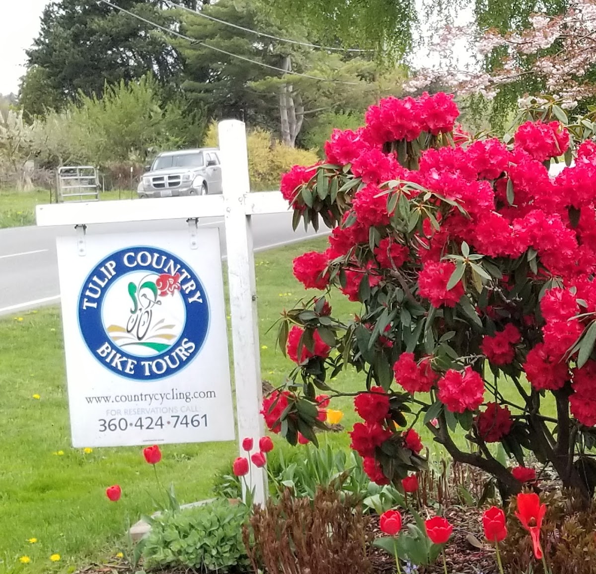 Tulip Country Bike Tours - eBike shop in Mount Vernon, WA