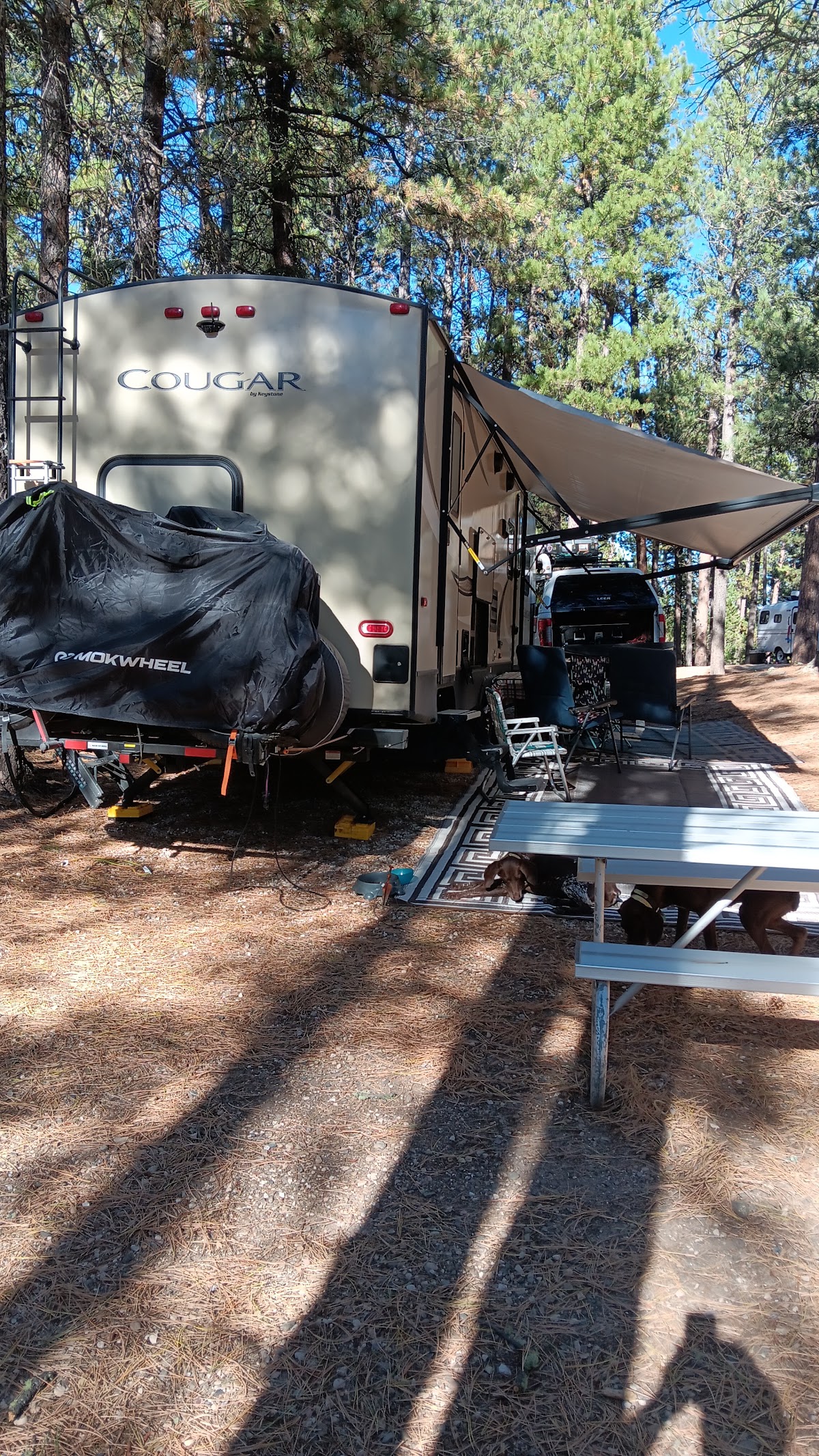 Ultimate Life Bikes - eBike shop in Rising Fawn, GA