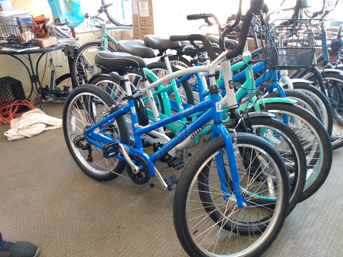 University Bikes - eBike shop in Beaufort, SC