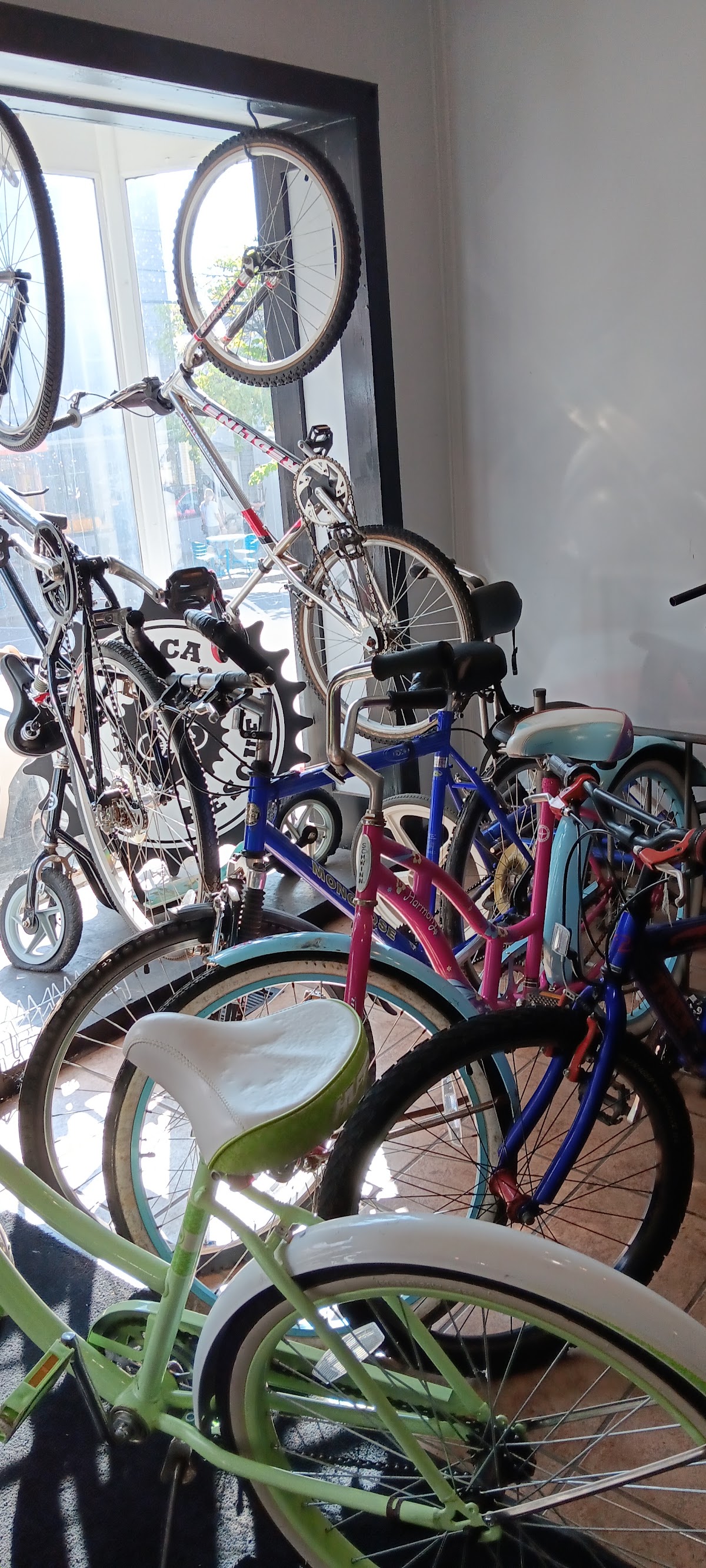 Utica Bike Rescue - eBike shop in Clinton, NY