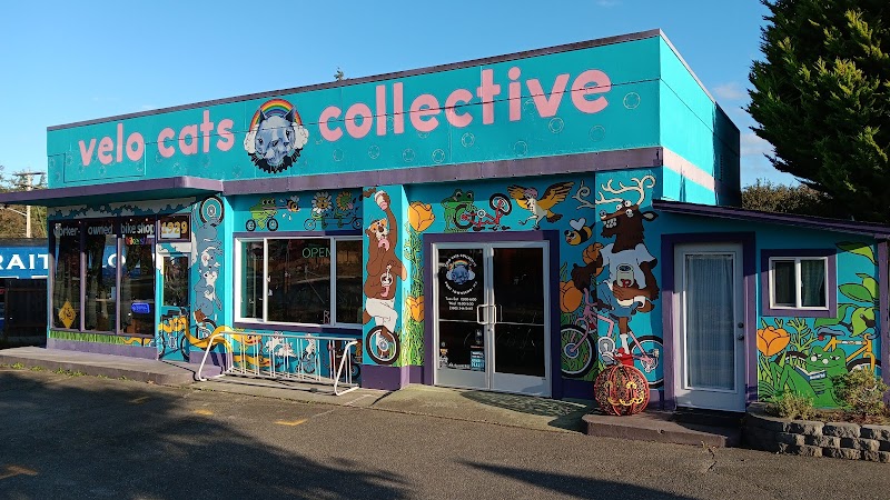 Velo Cats Collective - eBike shop in Port Townsend, WA