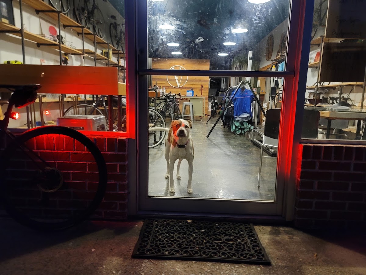 Velo Valets - eBike shop in Greenville, SC