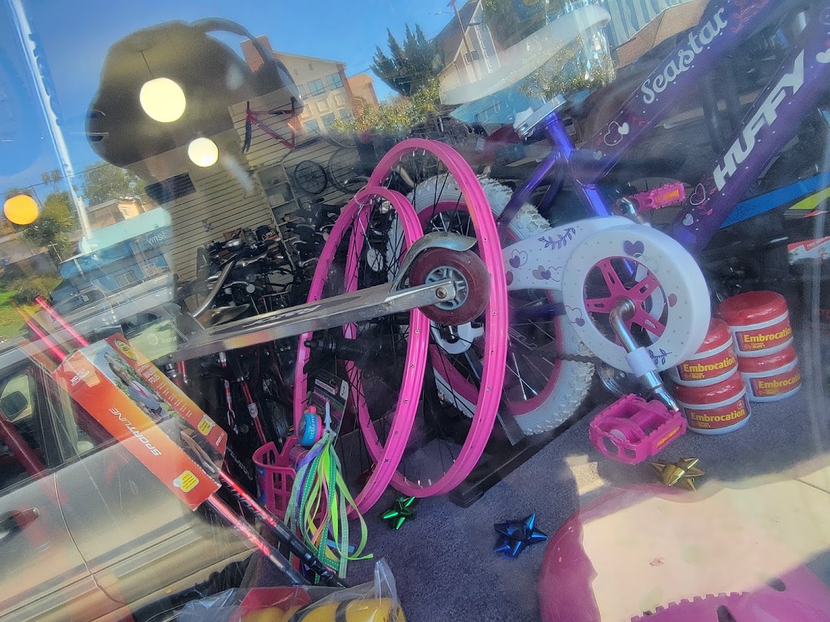 Village Pro Bike p/w simplydeluxebikes - eBike shop in Fallbrook, CA