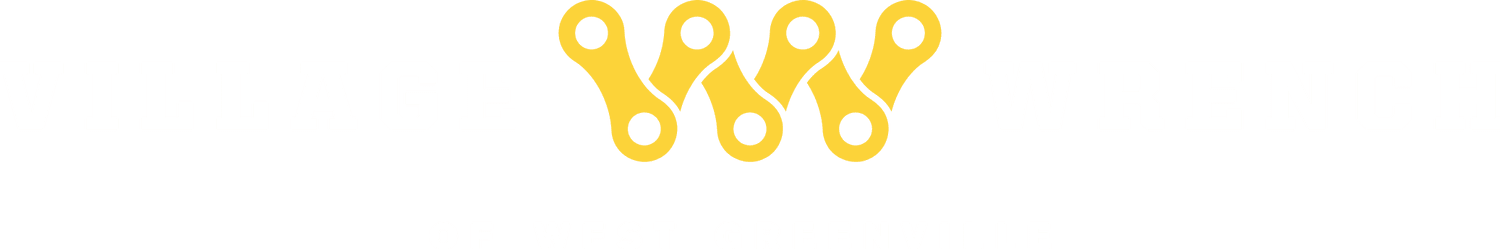 Village Wrench - eBike shop in Greenville, SC