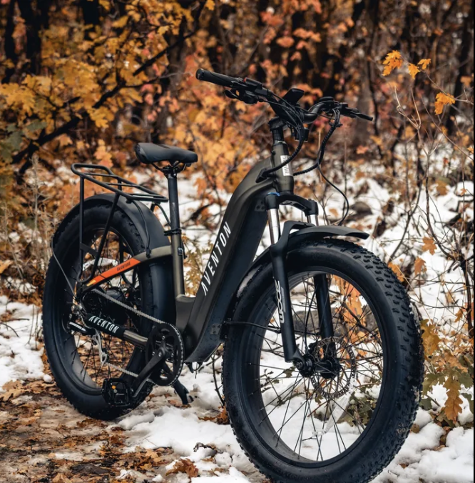 Voltage Bikes - eBike shop in Warminster, PA
