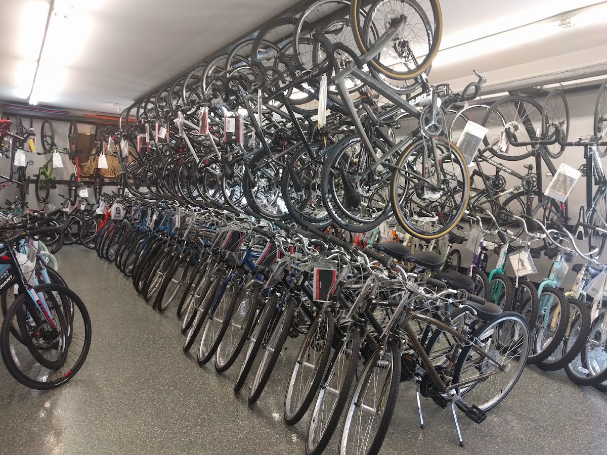 Wersell’s Bike and Ski Shop - eBike shop in Toledo, OH