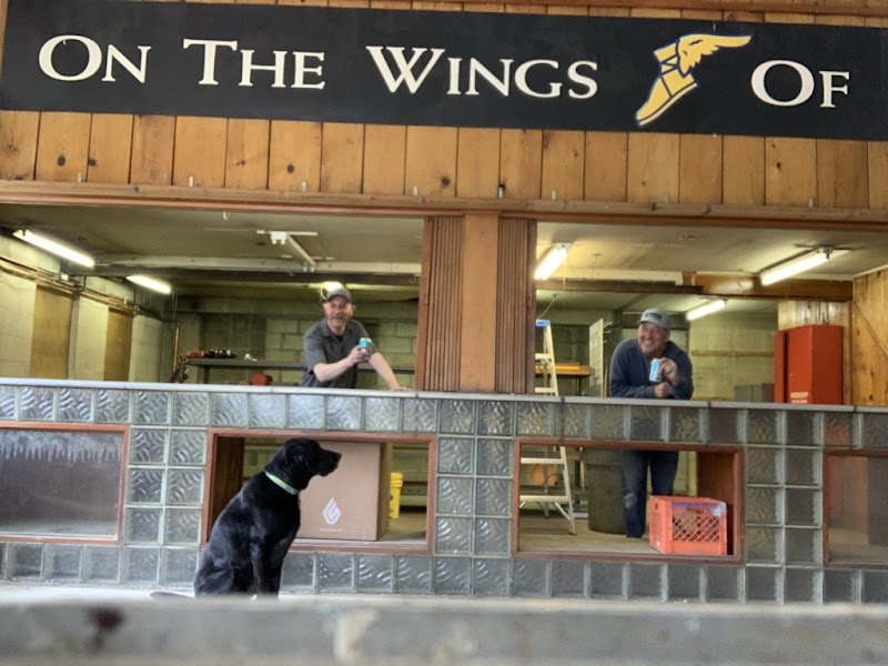 Wild Card Cycle Works - eBike shop in Traverse City, MI