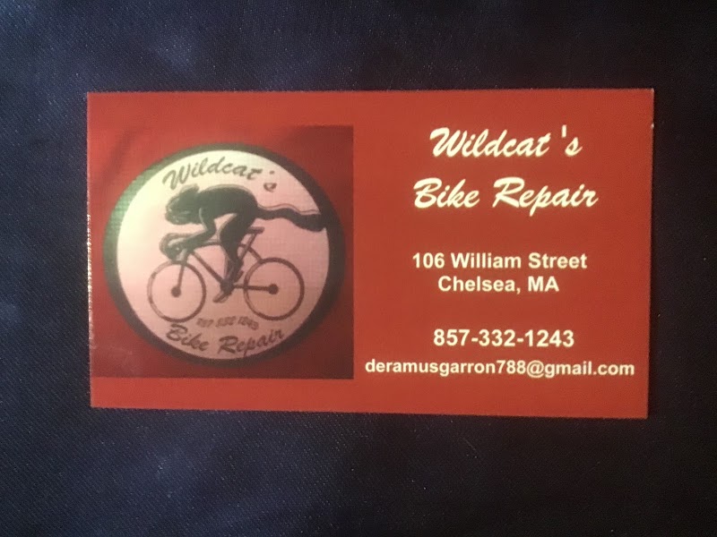 Wildcats Bike Repair - eBike shop in Chelsea, MA
