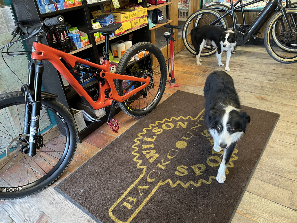 Wilson BackCountry Sports - eBike shop in Wilson, WY